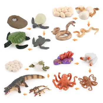 Набор жизненного цикла Фигурки черепах и крокодилов Имитационные фигурки животных Коллекция пластиковых моделей животных Подарки Новые детские игрушки